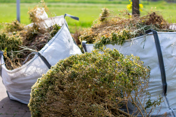Best Construction Debris Removal  in Shell Point, SC